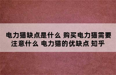 电力猫缺点是什么 购买电力猫需要注意什么 电力猫的优缺点 知乎